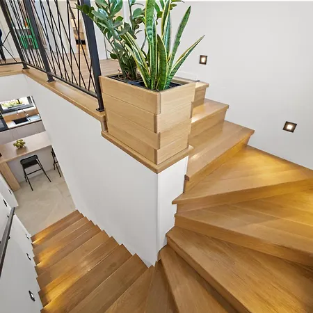 Olealis * Zatka Cepic