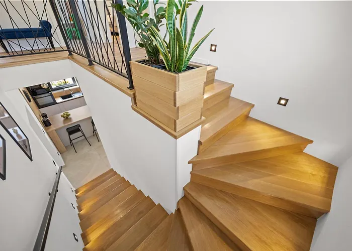 Olealis * Zatka Cepic